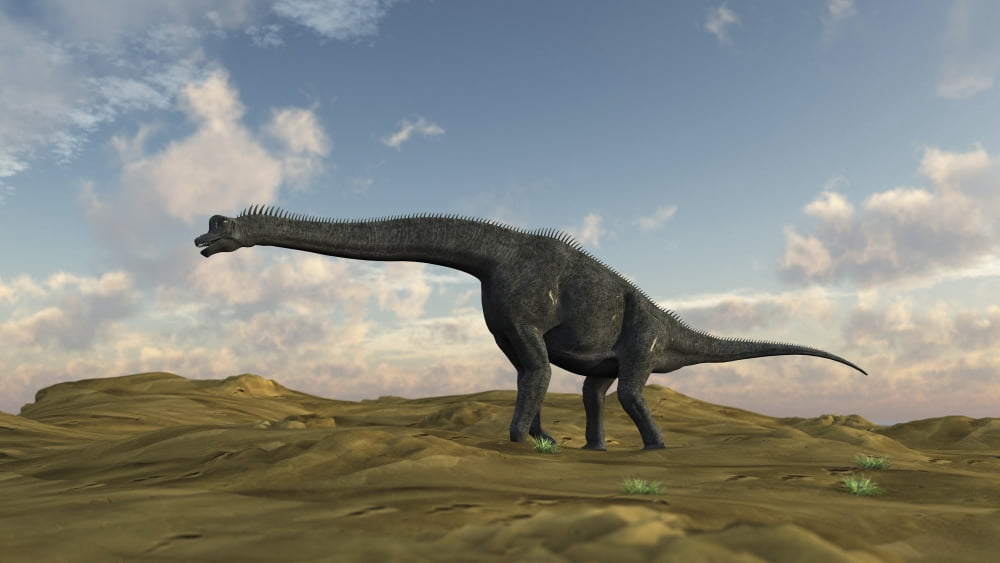 Large Brachiosaurus in a barren evnironment Canvas Art - Kostyantyn IvanyshenStocktrek Images (38 x 22)