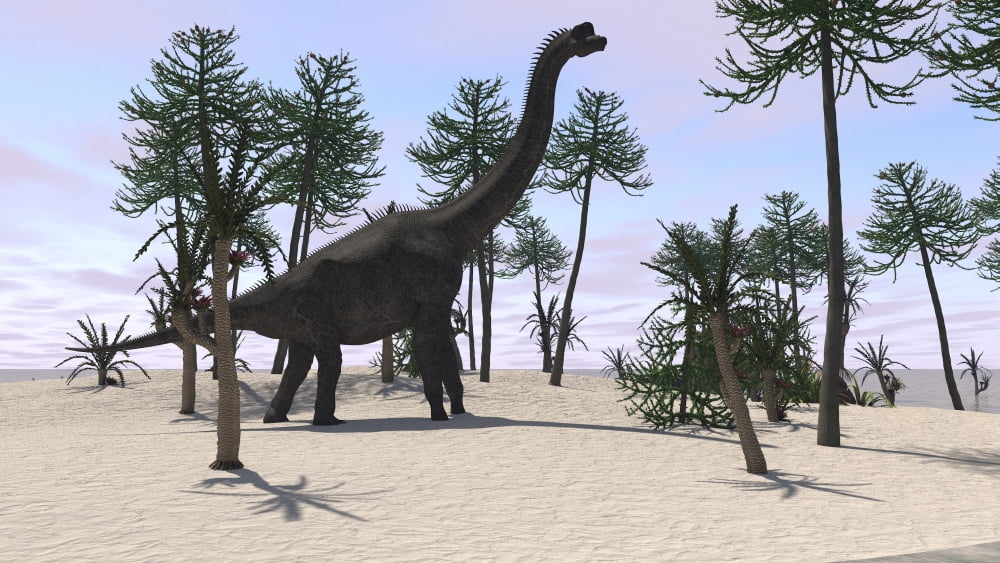 Large Brachiosaurus in a tropical environment Canvas Art - Kostyantyn IvanyshenStocktrek Images (19 x 11)