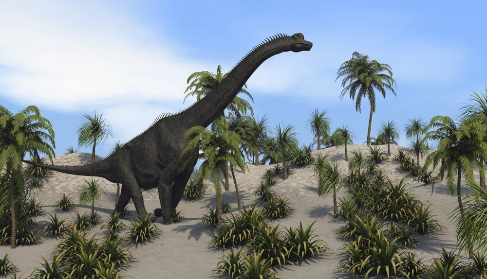 Large Brachiosaurus in a tropical environment Canvas Art - Kostyantyn IvanyshenStocktrek Images (37 x 22)