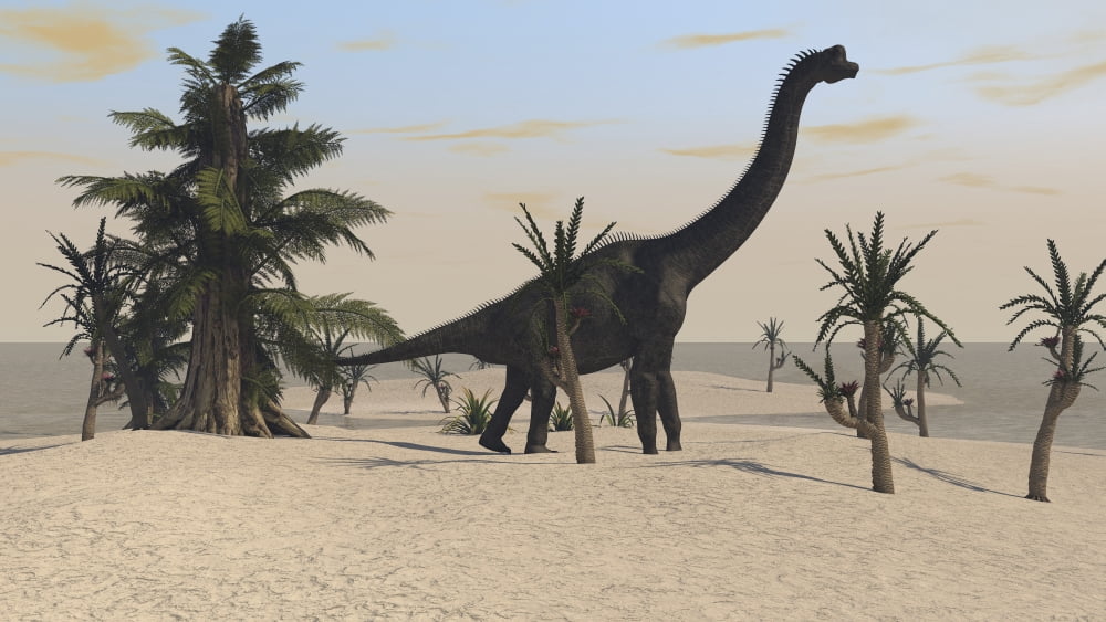 Large Brachiosaurus in a tropical environment Canvas Art - Kostyantyn IvanyshenStocktrek Images (38 x 22)