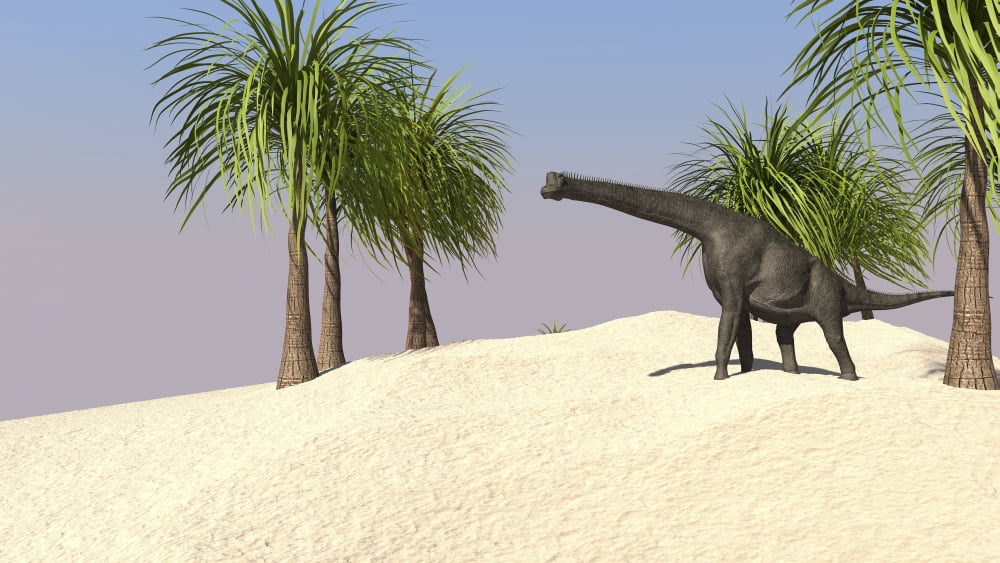 Large Brachiosaurus in a tropical environment Canvas Art - Kostyantyn IvanyshenStocktrek Images (38 x 22)