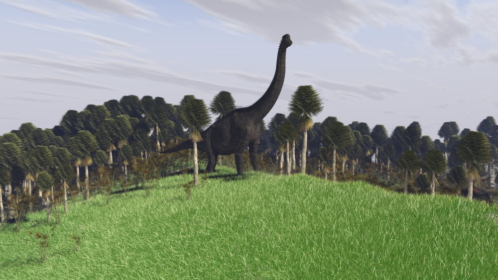 Large Brachiosaurus in an open field Canvas Art - Kostyantyn IvanyshenStocktrek Images (38 x 22)