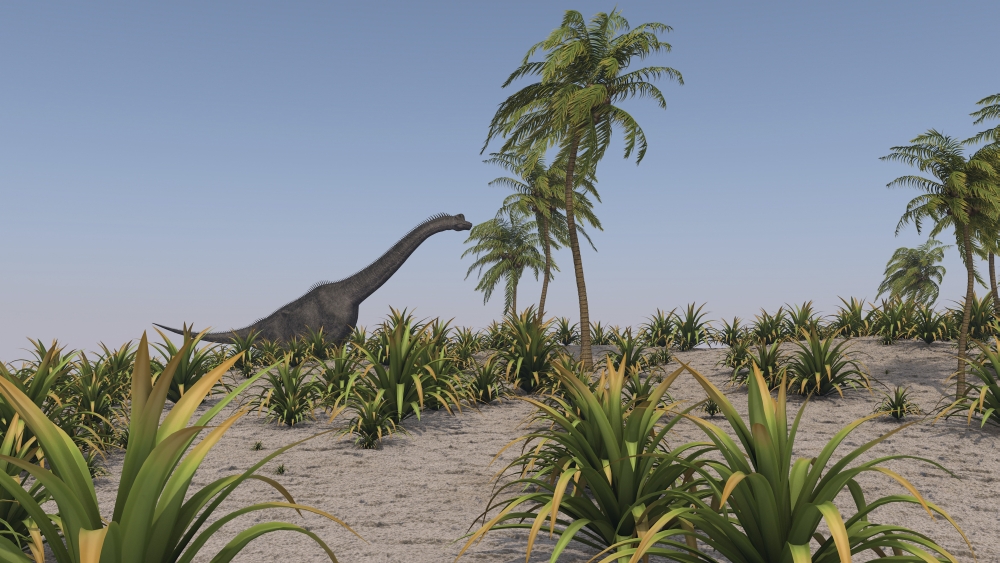 Large Brachiosaurus roaming a prehistoric environment Canvas Art - Kostyantyn IvanyshenStocktrek Images (38 x 22)