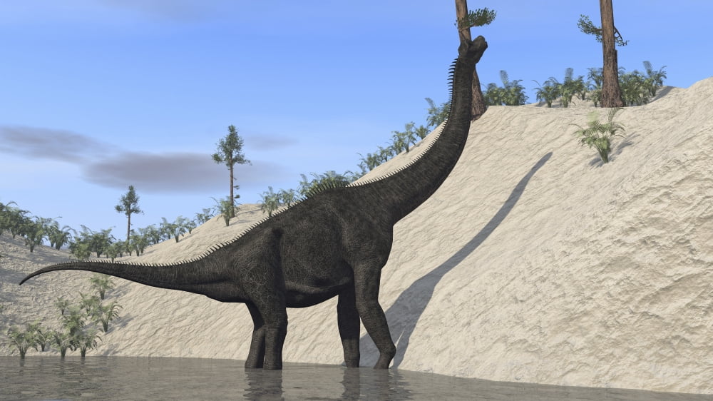 Large Brachiosaurus standing in a lake Canvas Art - Kostyantyn IvanyshenStocktrek Images (38 x 22)