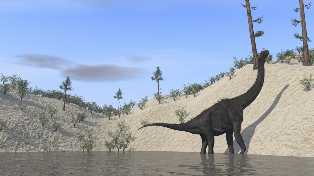 Large Brachiosaurus standing in a lake Canvas Art - Kostyantyn IvanyshenStocktrek Images (38 x 22)