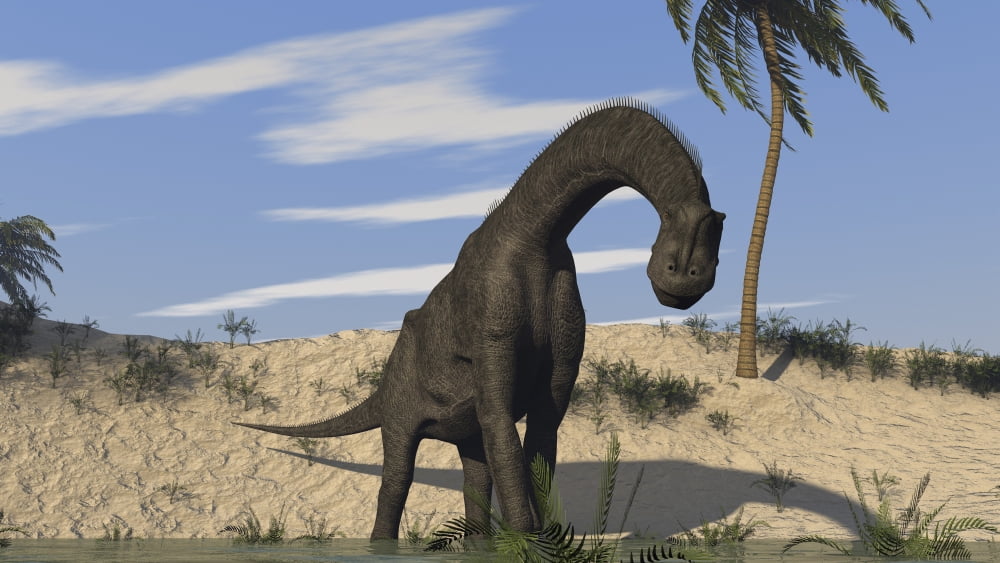 Large Brachiosaurus standing in water Canvas Art - Kostyantyn IvanyshenStocktrek Images (38 x 22)