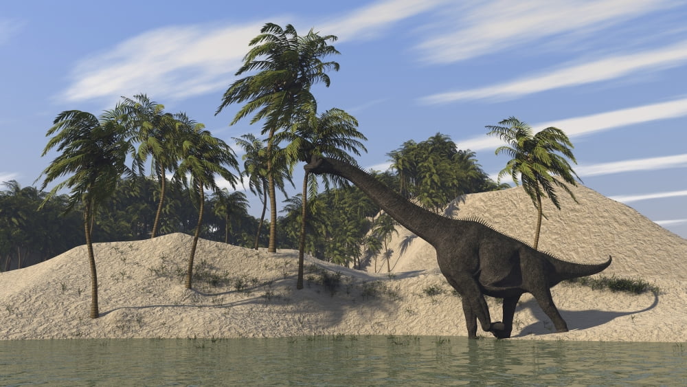 Large Brachiosaurus walking along the waters edge Canvas Art - Kostyantyn IvanyshenStocktrek Images (38 x 22)