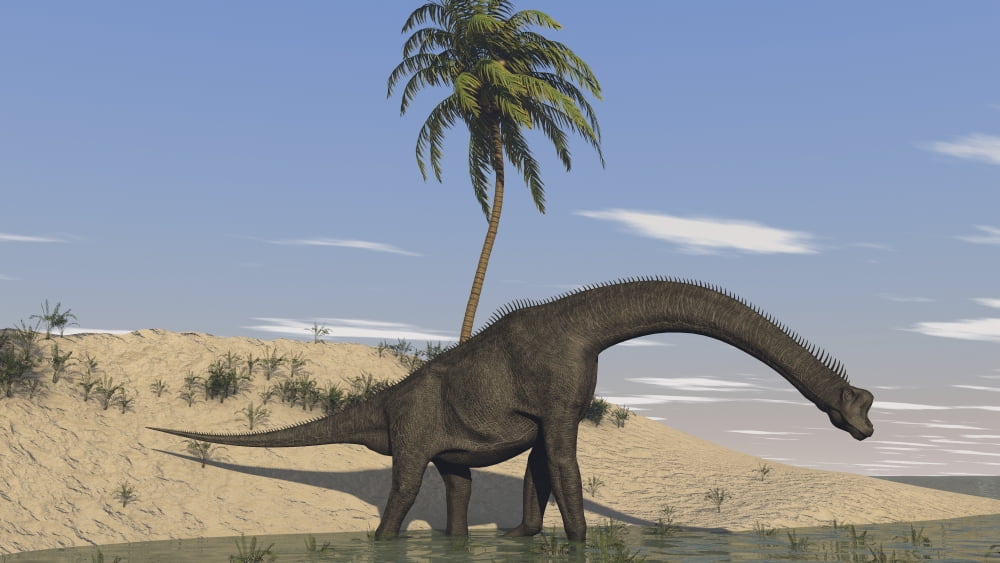 Large Brachiosaurus walking along the waters edge Canvas Art - Kostyantyn IvanyshenStocktrek Images (38 x 22)