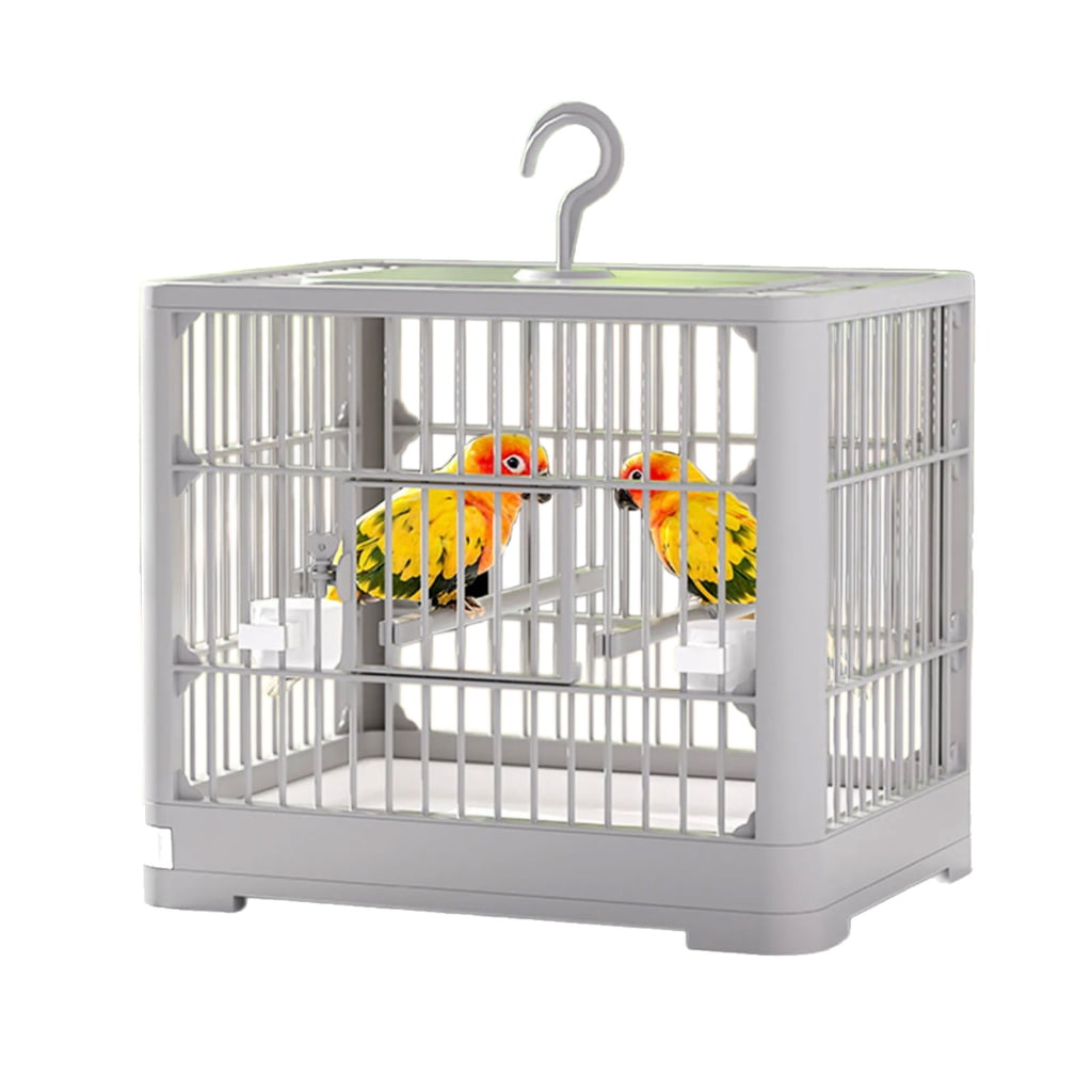 A closer look at Parrot Bird Habitats For Homes