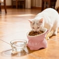 thumbnail image 1 of Large Capacity Elevated Cat Food & Water Bowl - Wide Shallow Design for Comfort, 1-Piece Plastic Pet Bowl with Non-Slip Base, 1 of 5
