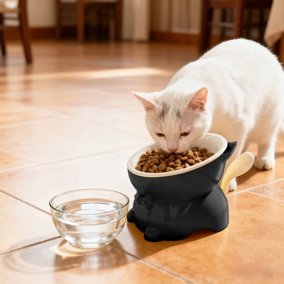 Large Capacity Elevated Cat Food & Water Bowl - Wide Shallow Design for Comfort, 1-Piece Plastic Pet Bowl with Non-Slip Base