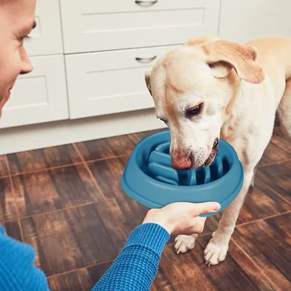 Large Capacity Slow Feeder Pet Bowl for Dogs and Cats Non Tipping Design