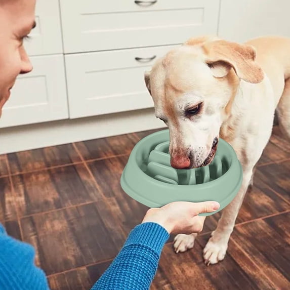 Slow Feeder Pet Bowl for Dogs and Cats with Large Capacity Non Tumble Proof Design