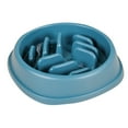 thumbnail image 1 of Large Capacity Slow Feeder Pet Bowl for Dogs and Cats with Tumble Proof Design, 1 of 6