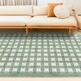 Large Carpet Fluffy Carpets for Living room Large Plush Rugs for