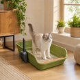 thumbnail image 1 of Large Cat Litter Box, Top Entry Cat Litter Box, Cat Litter Pan with Cat Scooper, Senior Cat Litter Boxes, Detachable Easy Clean, Cat Necessities 19.29x13.78x5.12 Inch (Green), 1 of 6