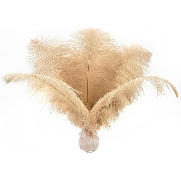 Large Champagne Ostrich Feathers - 24pcs 12-14inch Boho Feathers for Vase and Home Decor Wedding Party Centerpieces