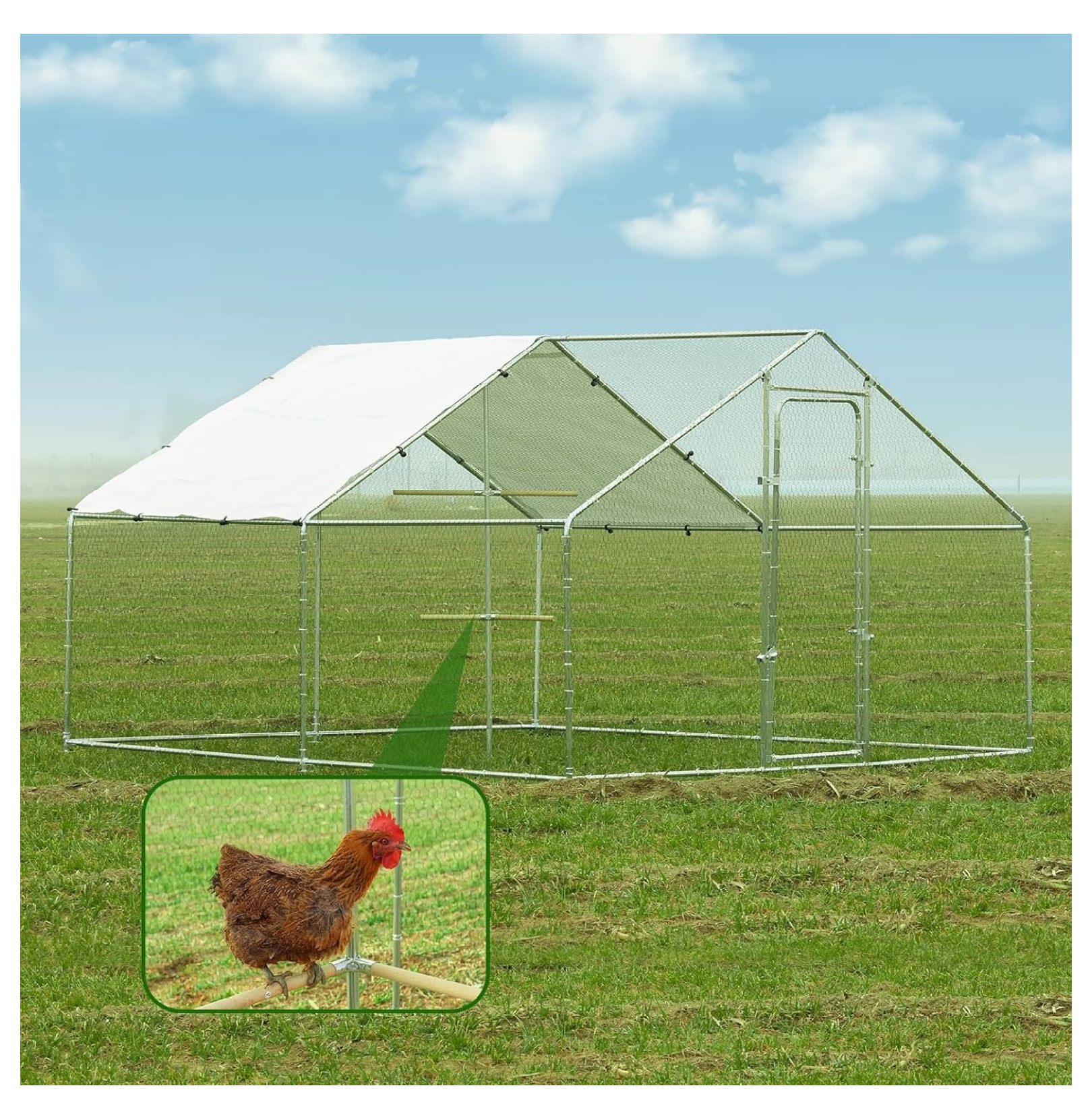 Large Chicken Run Metal Chicken Coops with Chicken Perch, Outdoor Walk