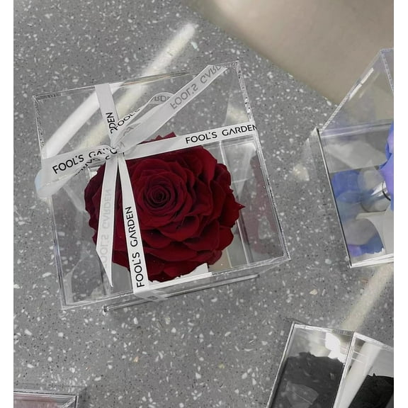 Large Clear Acrylic Display Boxes with Lid for Wedding, Birthday Party Decorations 4x4x4 Inch