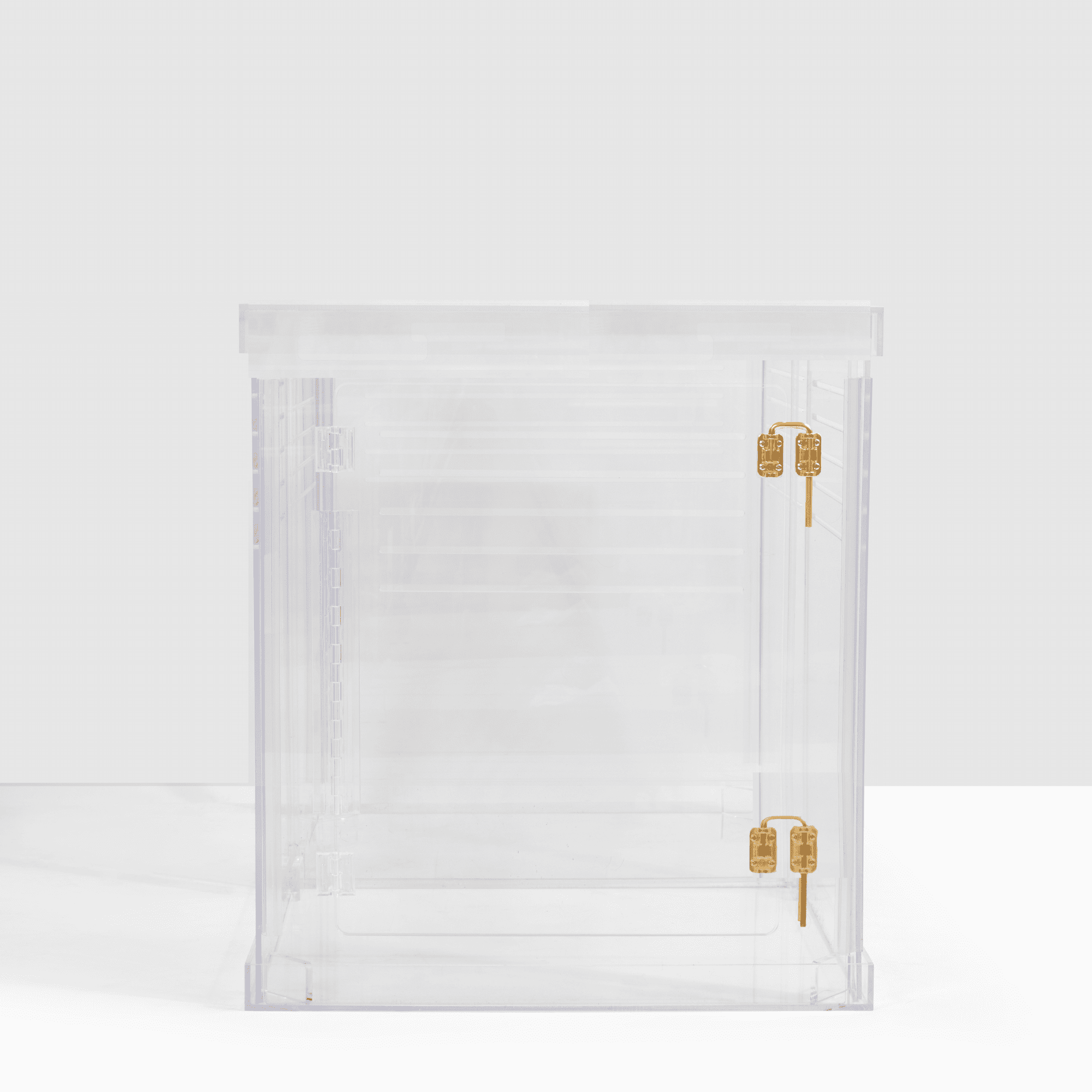 View of Large Clear View Pet Crate with Gold Latch, no cushion - Walmart.com