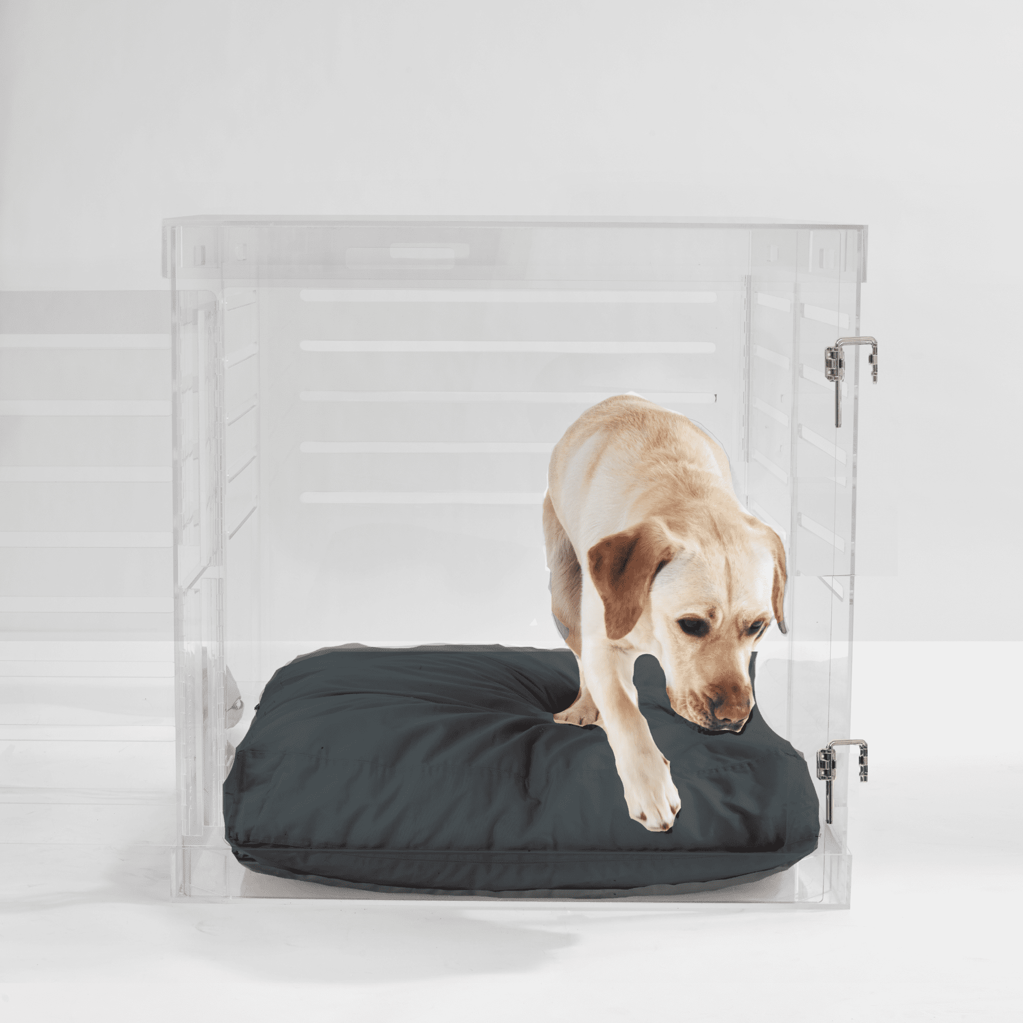 Large Clear View Pet Crate with Silver Latch, Charcoal Cushion ...