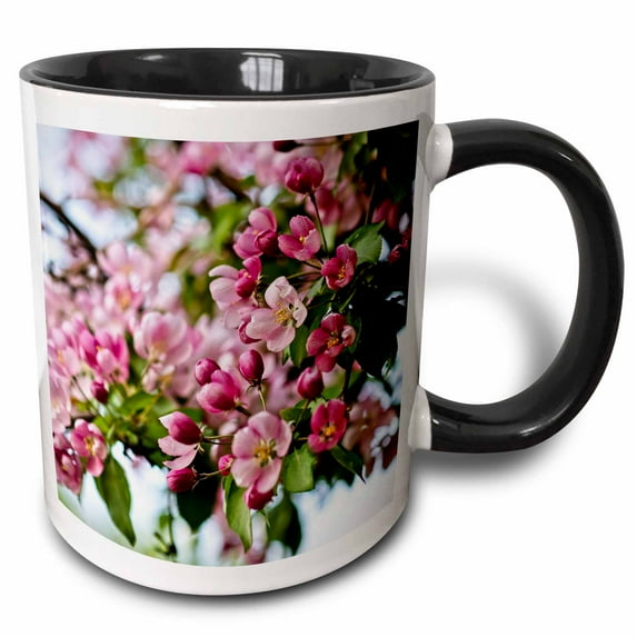 3drose, Large Cluster of Pink, Purple Crab Apple Flowers, White Sky, 15oz Two-tone Black Mug