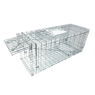 https://i5.walmartimages.com/seo/Large-Collapsible-Humane-Live-Animal-Cage-Trap-No-Kill-Trapping-Kit-Catch-Release-Rabbits-Stray-Cat-Squirrel-Raccoon-Other-Fit-Sized-Animals-Heavy-Du_a739d2be-9f59-41b5-a6fc-2bece8849af1.be1056517f3b638aa31bf689ec8835c4.jpeg?odnHeight=320&odnWidth=320&odnBg=FFFFFF