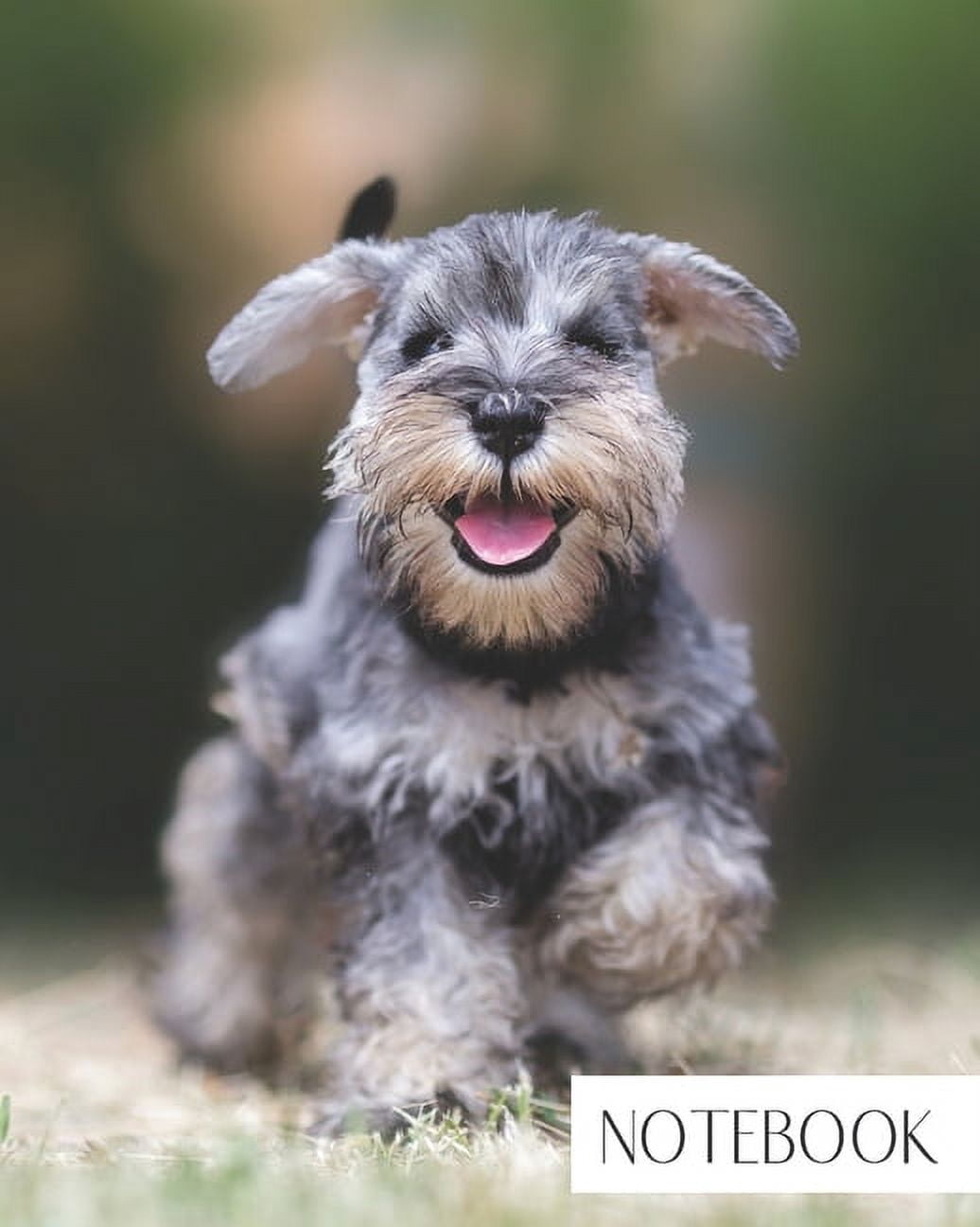Notebook: Large College Ruled Notebook for Everyday Use Schnauzer Puppy Dog Cute and Fun (Paperback)