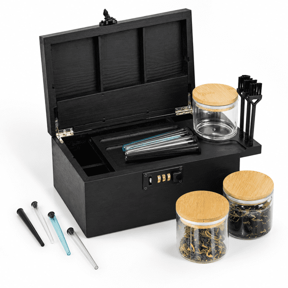 Large Combination Lock Storage Box with Removable Tray and Plentiful Accessories