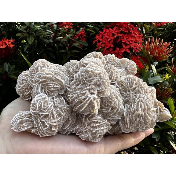 Large Desert Rose Cluster, Natural Desert Rose Selenite Stones, Desert Gypsum Rose, Raw Selenite Rose Crystal, Rose Rock, Sand Rose (3-4 lbs)
