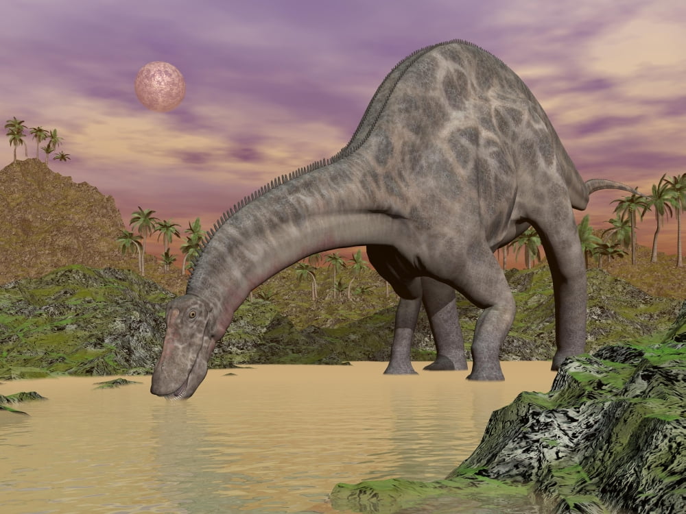 Large Dicraeosaurus dinosaur drinking water Canvas Art - Elena DuvernayStocktrek Images (33 x 25)