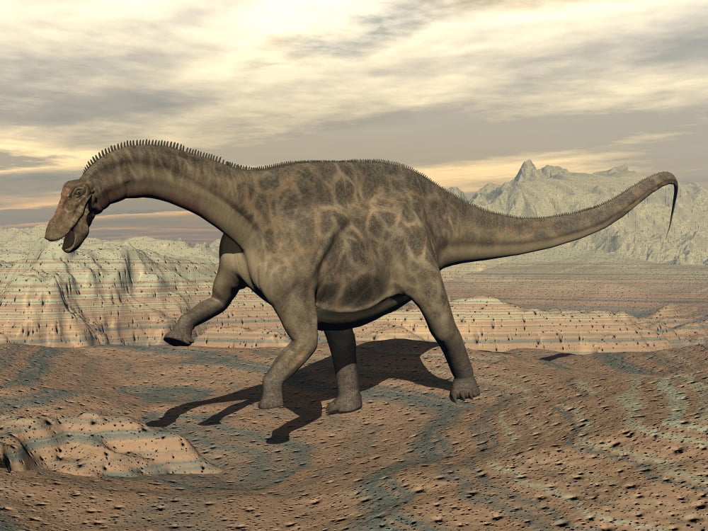 Large Dicraeosaurus dinosaur walking on rocky terrain Canvas Art - Elena DuvernayStocktrek Images (17 x 13)