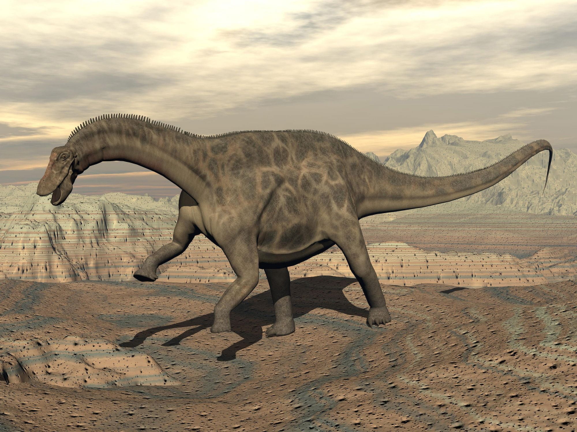 Large Dicraeosaurus dinosaur walking on rocky terrain Canvas Art - Elena DuvernayStocktrek Images (33 x 25)
