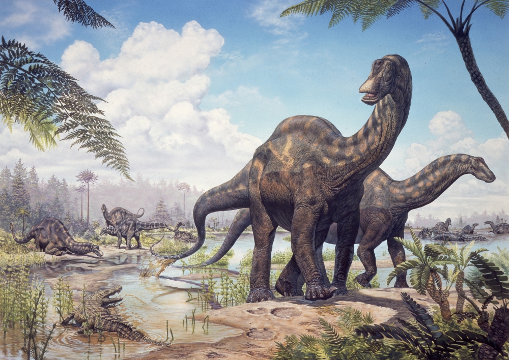 Large Dicraeosaurus sauropods from the Late Cretaceous of Africa Canvas Art - Mark HallettStocktrek Images (17 x 12)