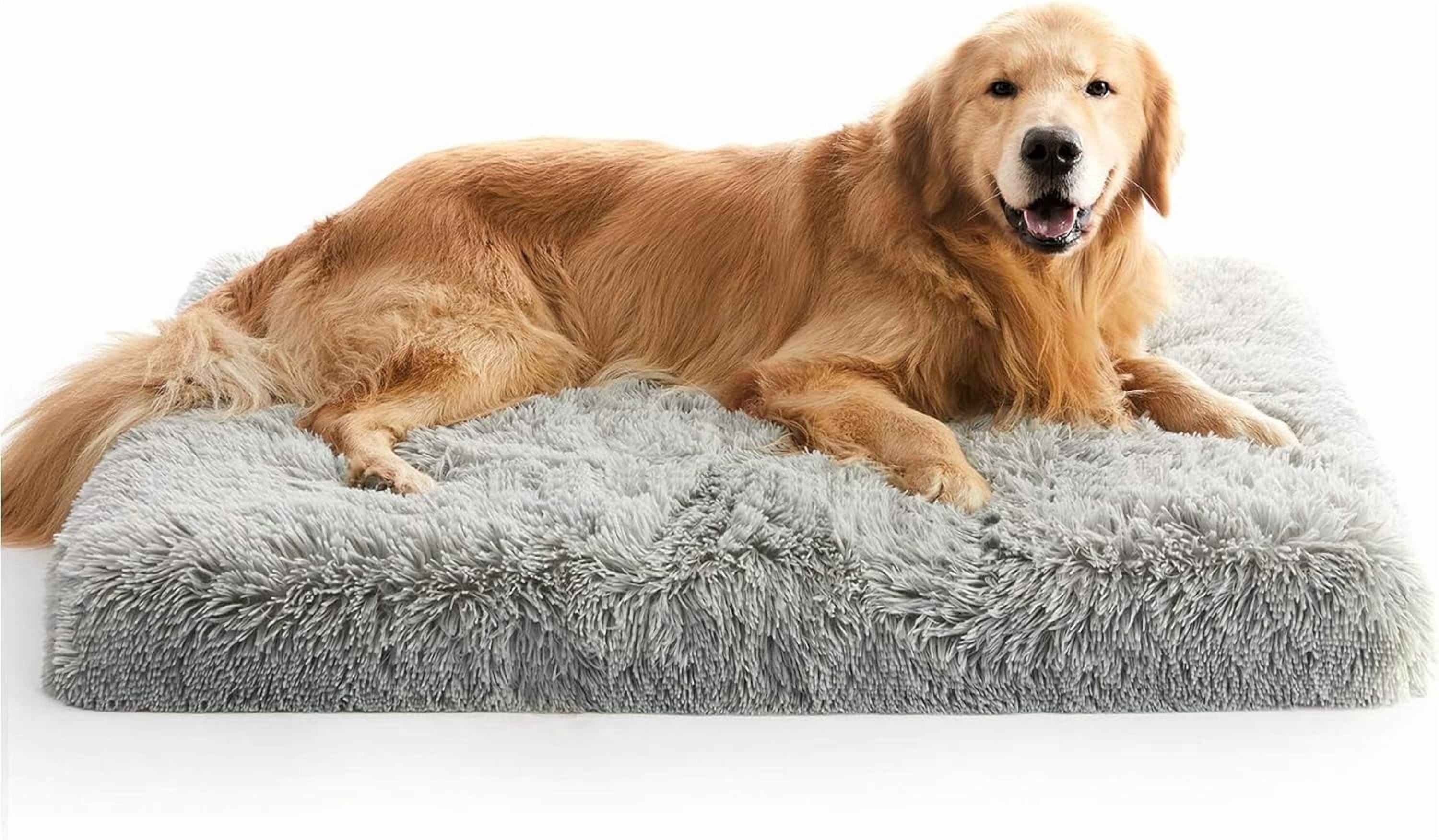 MY Large Dog Bed, Orthopedic Egg Crate Foam Dog Bed with Removable Washable Cover, Waterproof Pet Mattress Nonskid Bottom, Comfy Anti Anxiety Pet Bed Mat, 35x22 inch, Gray