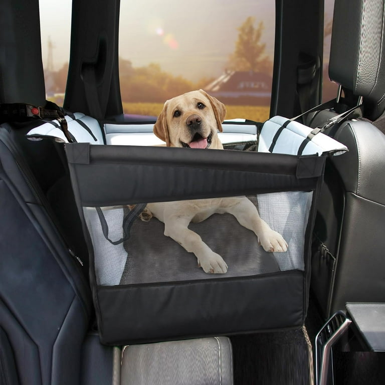How Do I Stop My Dog from Scratching His Car Seat?: Quick Fixes