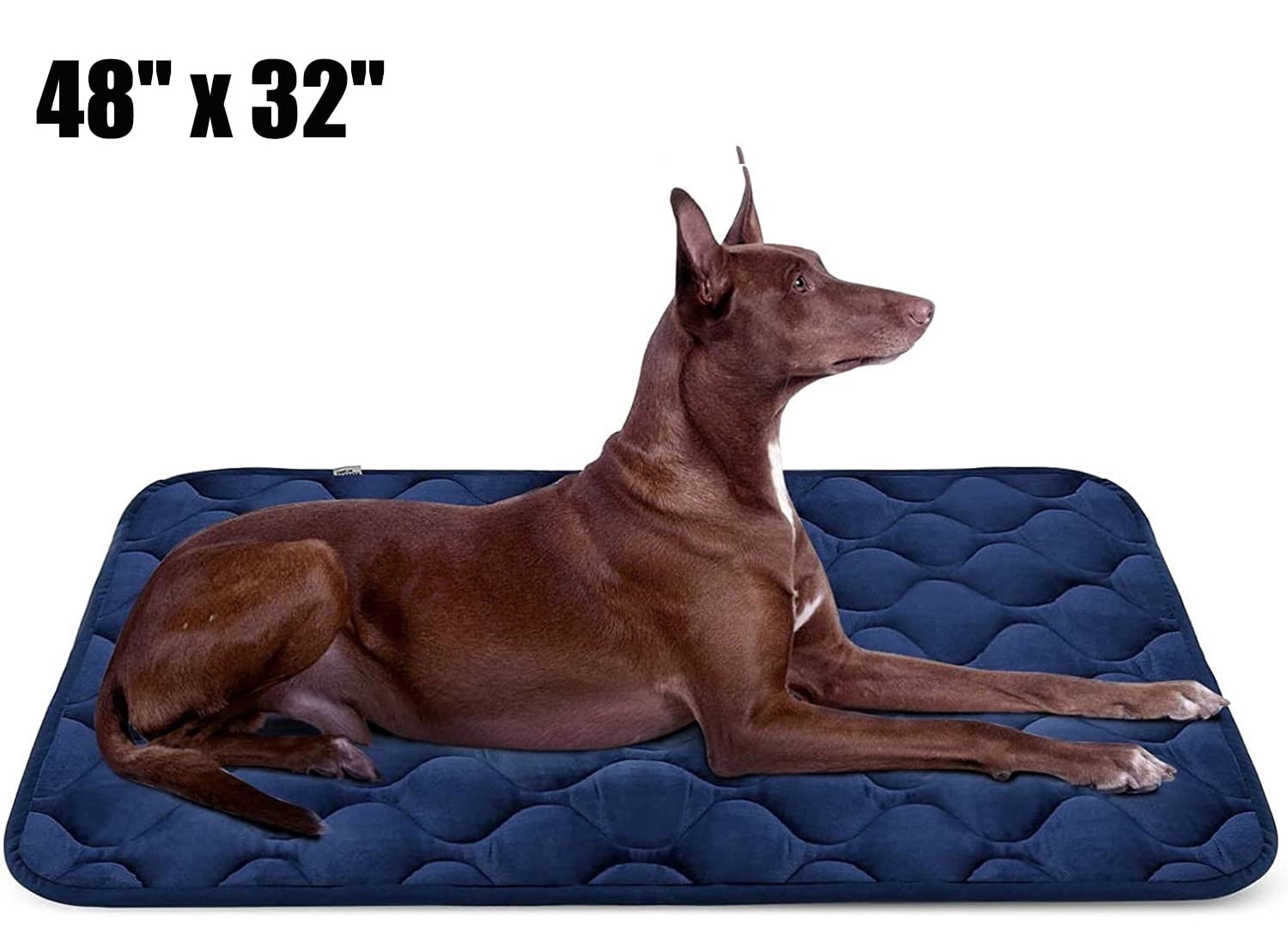 48 dog crate bed hotsell