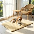 thumbnail image 1 of Large Dog Crate Pad, Soft Washable Kennel Mat, Antiskid Thin Pet Bed Cushion for Medium Large Dogs, Gray, 36 x 24 Inch, 1 of 6