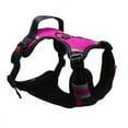 thumbnail image 1 of Large Dog Harness Breathable Adjustable Matching Reflective Leash Vest, 1 of 12