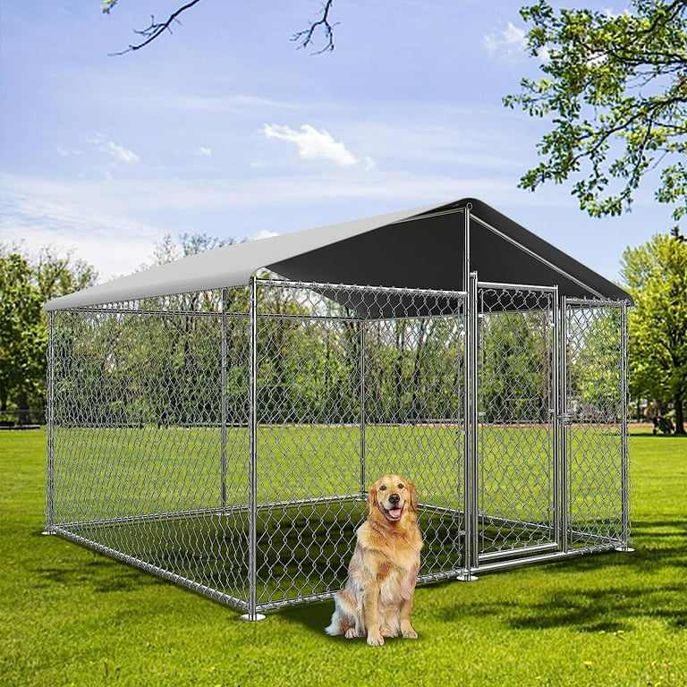 Big boy dog kennels online