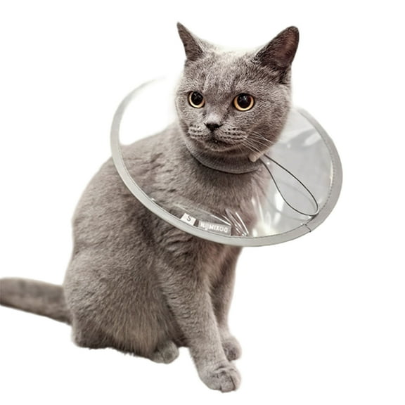 Large Dog Recovery Collar Multiple Size Clear Cone Cats Head Leg Wound Recovery Cone Type