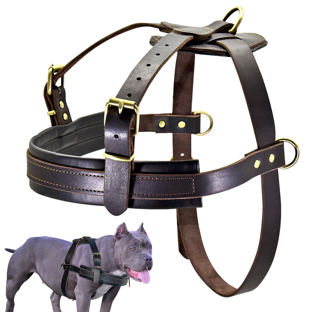 Large Dog Training Harness Soft Padded Heavy Duty Genuine Leather Extra ...