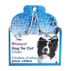 CHAIN DOG TIE OUT 15' (Pack of 1)