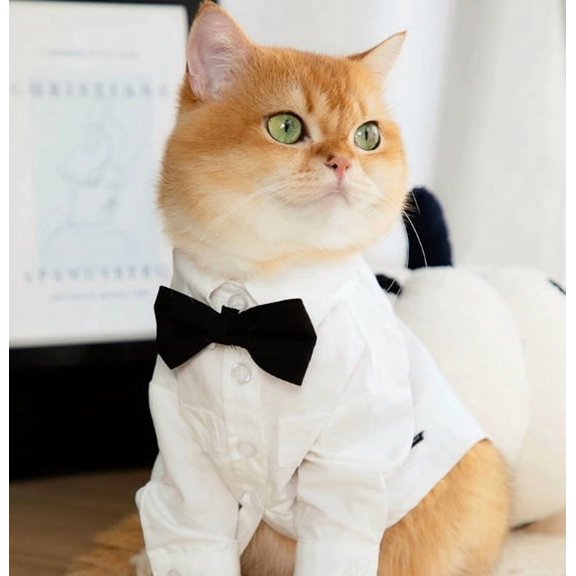 Large Dog Wedding Tuxedo Pet Suit Rare Style Fashion Dog Dress