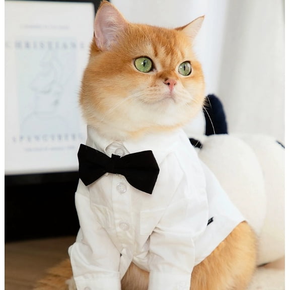 Large Dog Wedding Tuxedo Pet Suit Rare Style Fashion Dog Dress