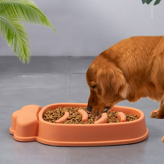 Large Dog and Cat Slow Feeding Bowls for Rice - Pet Supplies for Dining and Hydration Needs