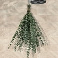 thumbnail image 1 of Natural Dried Eucalyptus Bundle,Large Dried Eucalyptus for Shower,Eucalyptus Stems Bundle,Green Plant Arrangement,Hanging for Bathroom Decor,Home Rustic Vase Filler (Set of 20), 1 of 7