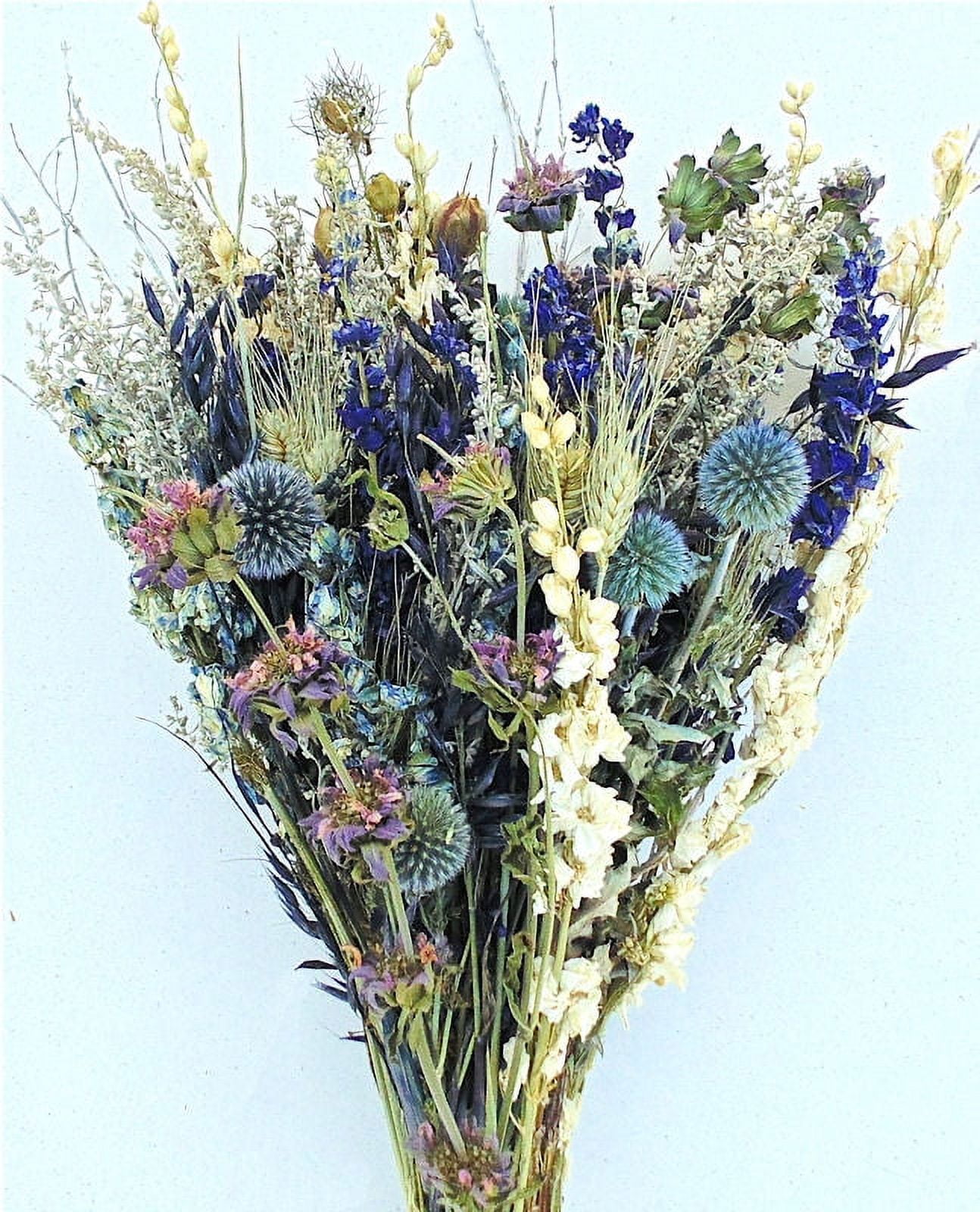 Large Dried Flower Bouquet - Blue Bunch Top Diameter 11-12in. Stem Length  22-24in. -- Single Bunch 