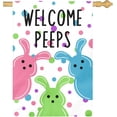 thumbnail image 1 of Large Easter House Flag 28x40 Inch Double Sided Welcome Peeps Bunny Flag Colorful Spring Yard Flag Outdoor Porch Cute Rabbit and Egg Pattern Farmhouse Easter Garden Banner for Home Patio Lawn, 1 of 8