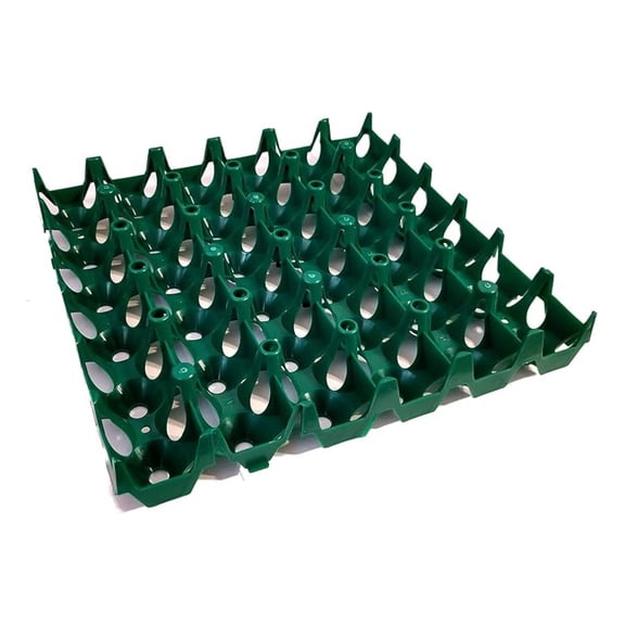 Large Egg Setting Tray